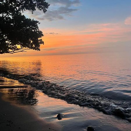Borbon'S Treehouse By The Sea Bed & Breakfast Mambajao Eksteriør bilde